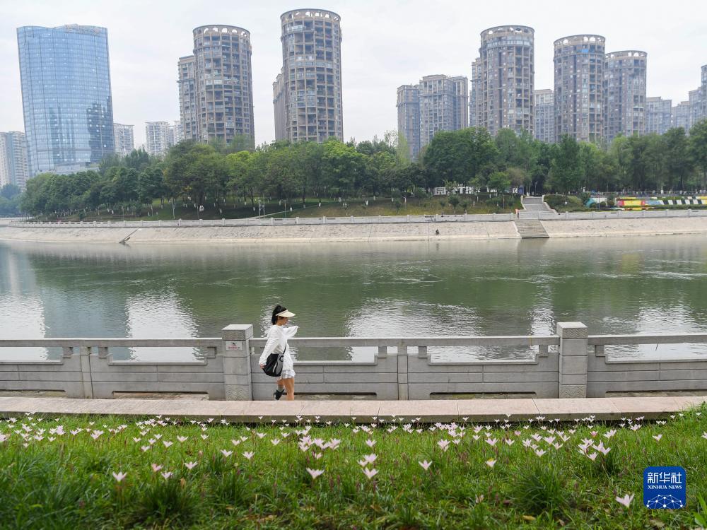 2019年的龙虎日